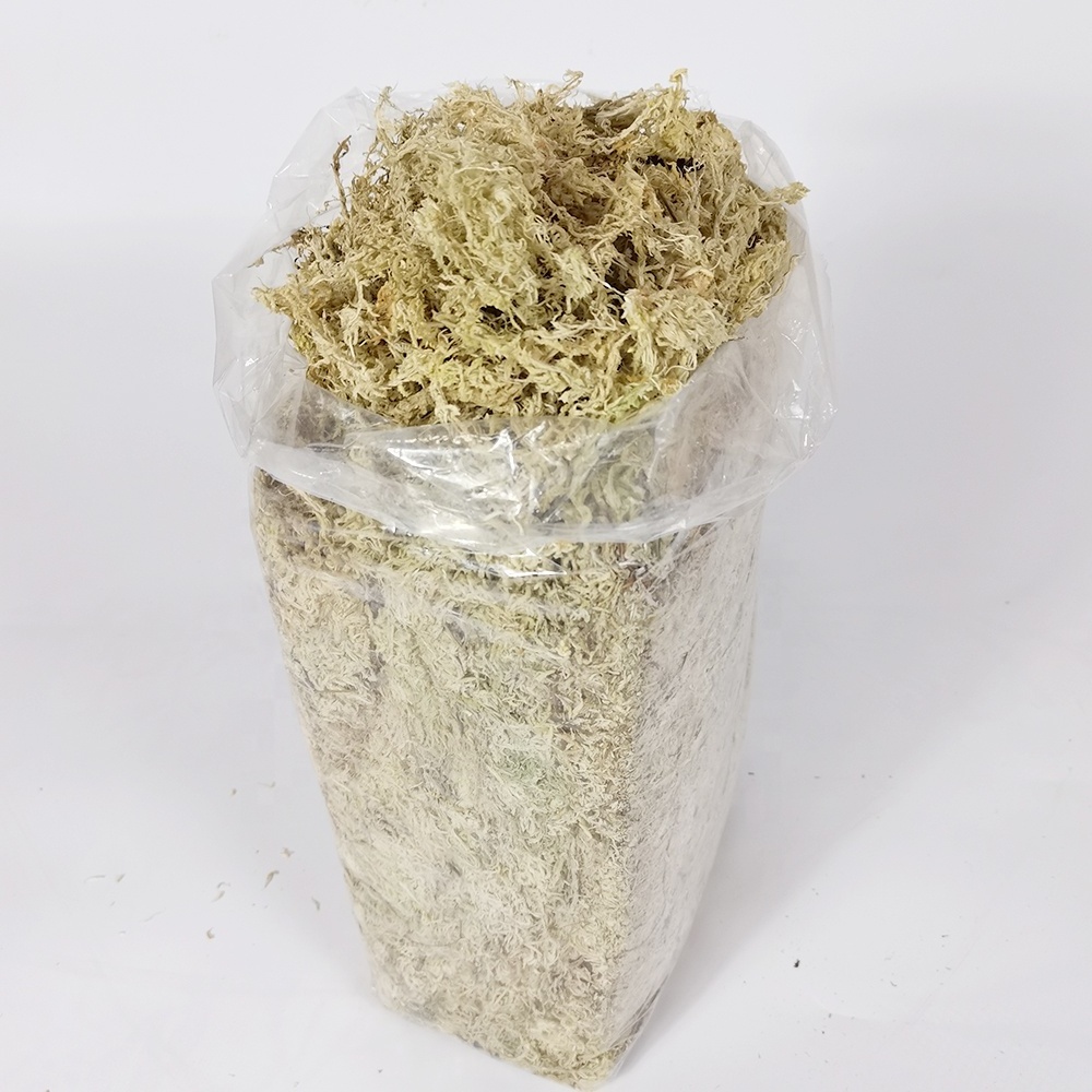 Wholesale peat substrate sphagnum peat moss long fiber sphagnum moss for plant orchid