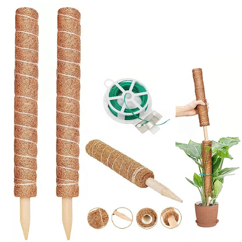 Stackable Climbing Plants Support Stick Gardening Holder Coir Indoor Plant 12 Inch 16 Inch 19 Inch Garden Plant Moss Pole