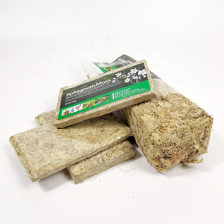 Wholesale peat substrate sphagnum peat moss long fiber sphagnum moss for plant orchid