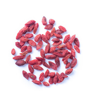 Goji berries - Lycium barbarum