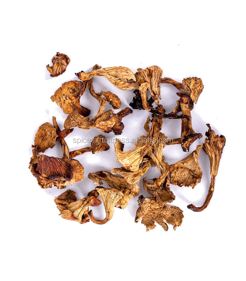 Chanterelle mushroom (air dried) - Cantharellus cibarius