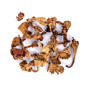 Chanterelle mushroom (air dried) - Cantharellus cibarius