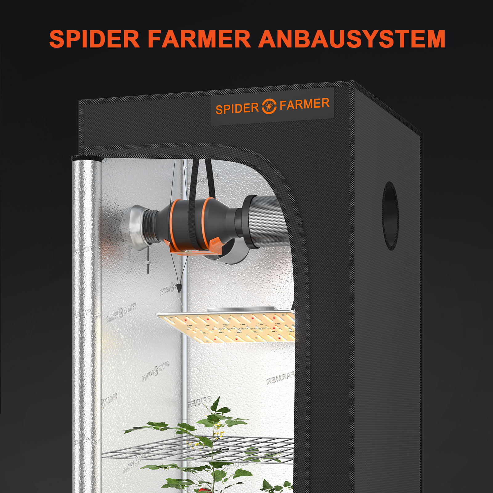 Grow Tent Kits 100w lights 70X70X160 Small Complete Hydroponic For Indoor Spider Farmer SF1000D