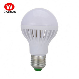 2600 5000 3000 Lumen Led Bulb Light