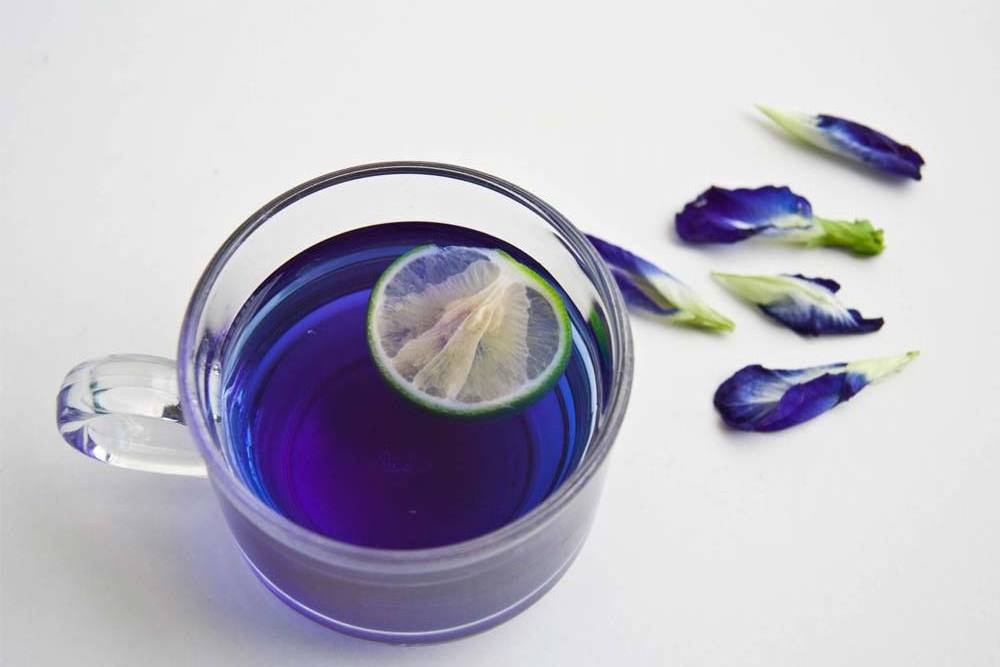 Blue Tea Dried Blue Butterfly Pea Flower Tea Clitorea Ternatea  Butterfly Pudding Tea