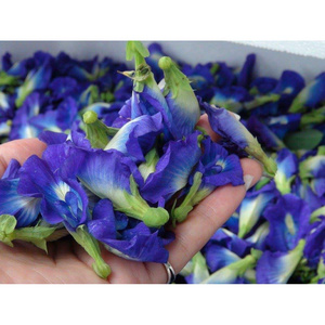 Factory Organic Tea  Wholesale Dried Flower Tea Dried Butterfly Pea Flower Blue Butterfly Tea