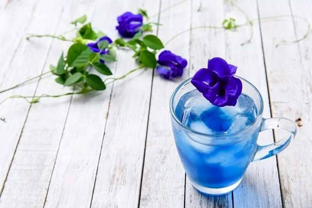 Factory Organic Tea  Wholesale Dried Flower Tea Dried Butterfly Pea Flower Blue Butterfly Tea