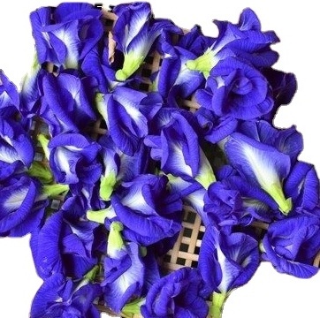 Factory Organic Tea Wholesale Dried Flower Tea Dried Butterfly Pea Flower Blue Butterfly Tea