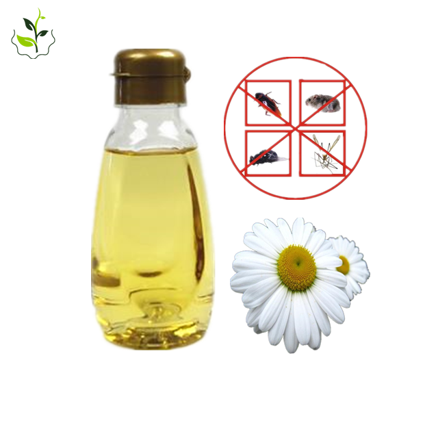 Pyrethrum extract Liquid Nature Insecticide Pyrethrum Extract 25% 50% Pyrethrin Pyrethrum Extract