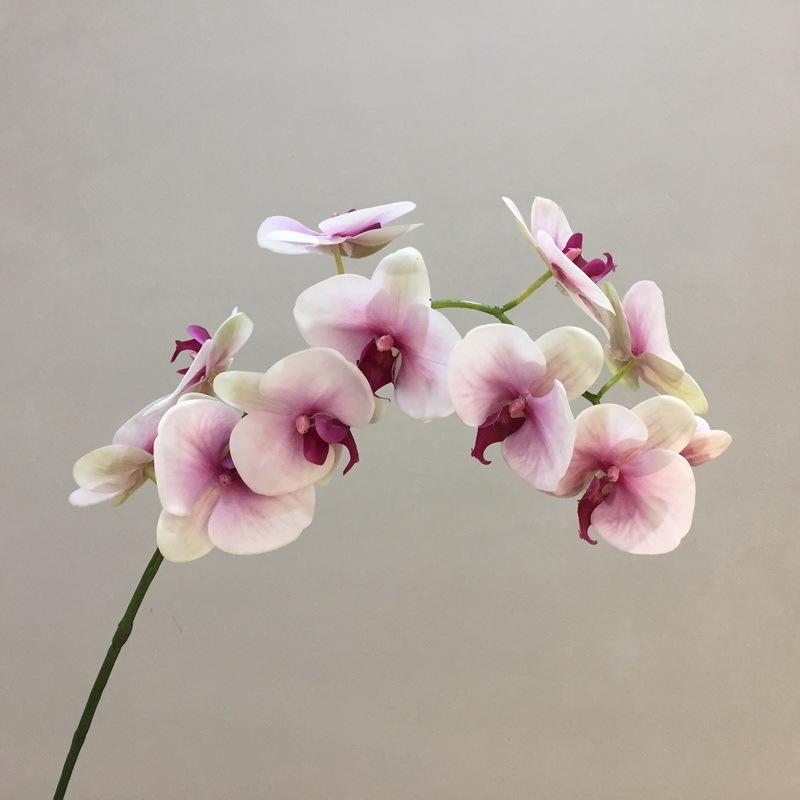 M336 Flower Bouquet 11 Heads Artificial Butterfly Phalaenopsis Orchid Silk Latex Orchids Real Touch For Wedding Home Decor