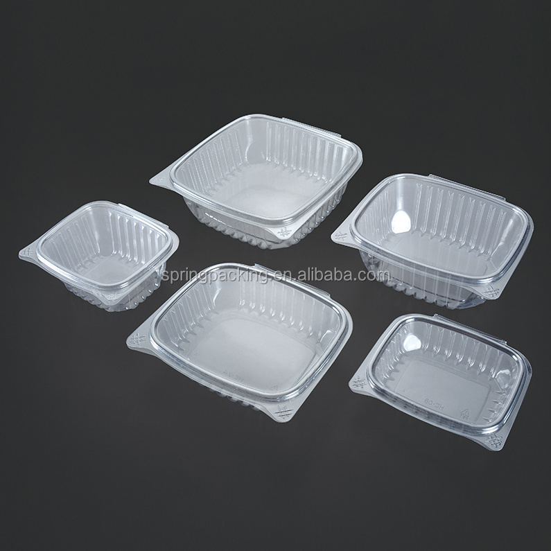 Factory custom PET PP PS plastic salad box salad bowl and container boxes