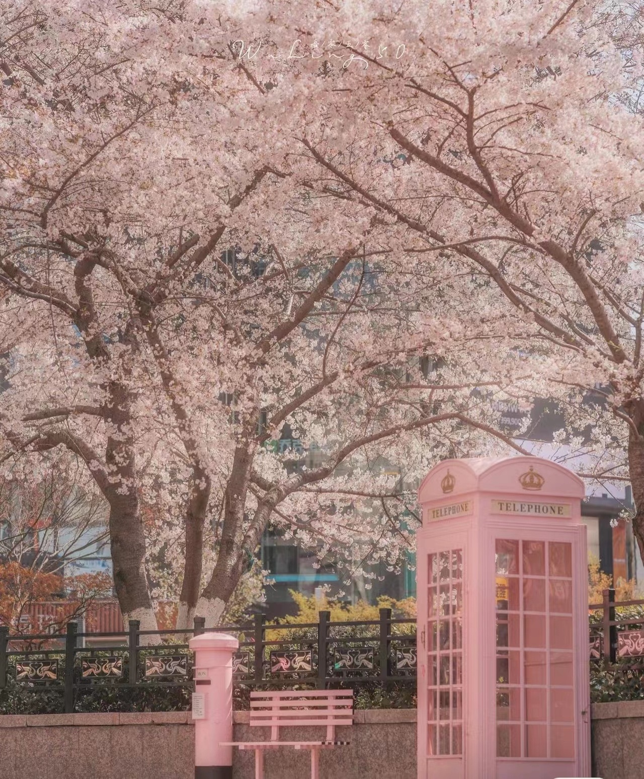 London Telephone Booth with Artificial Flowers Custom Antique 5-piece Set Mailbox Pink Telephone Booth