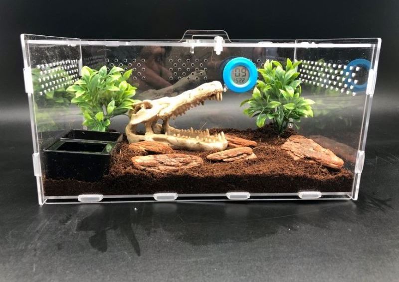 spring sign acrylic snake reptile climbing pet display cage box cases