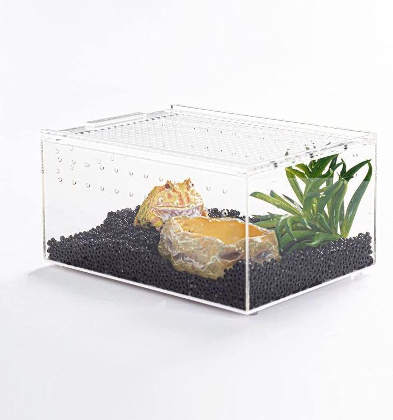 Spring Sign factory wholesale spider enclosure acrylic lizard reptile display case