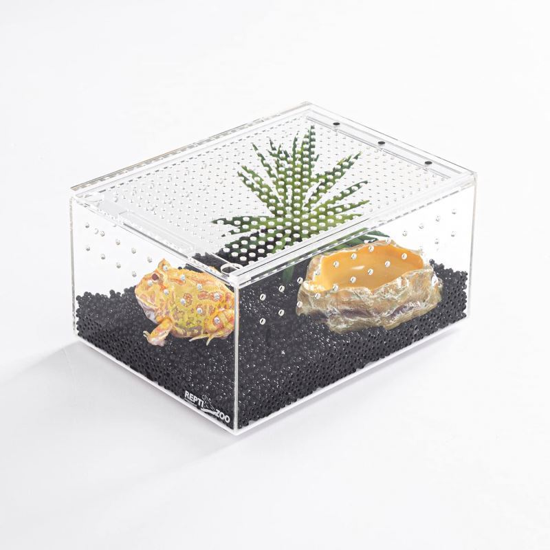 Spring Sign factory wholesale spider enclosure acrylic lizard reptile display case