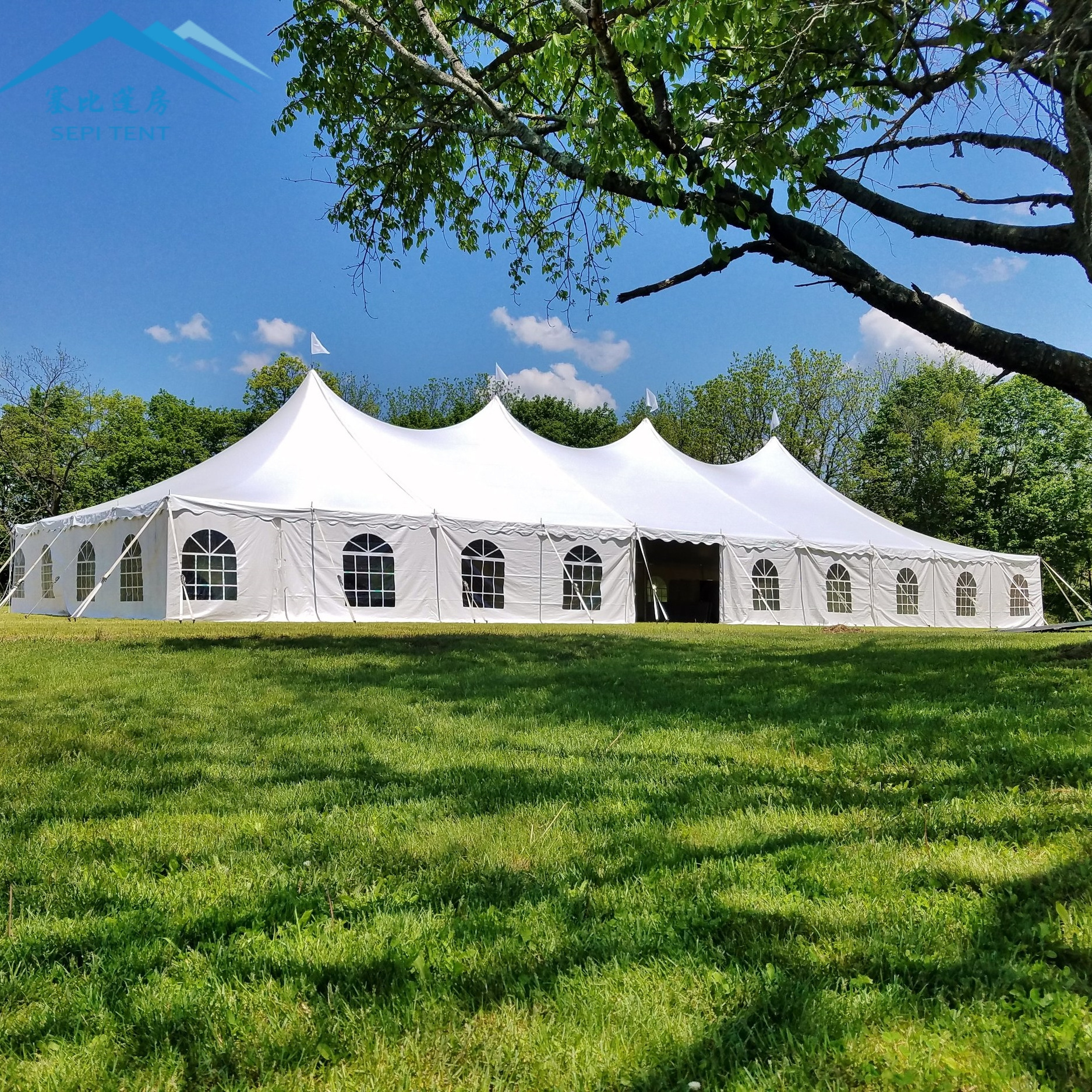 Outdoor 10x30 20x40 40x100 Aluminium Alloy PVC Marquee Wedding Party Tent For Rental Event