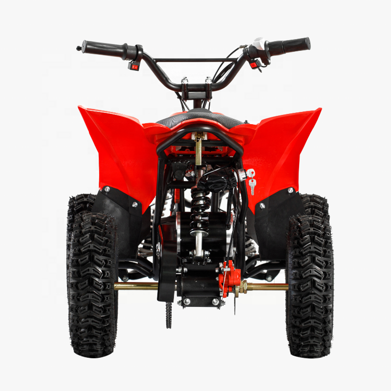 Hot Mini Electric ATV Electric Quad for Kids 800W Motor Power Battery Brush BIKE Brake Transmission 36V 12AH MAX Chain