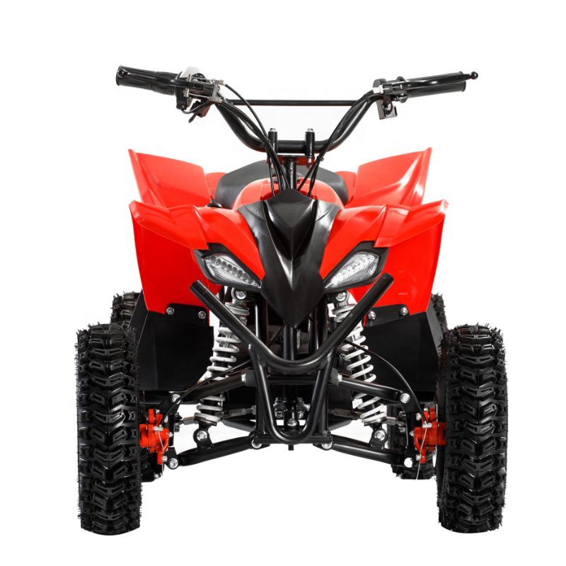 Hot Mini Electric ATV Electric Quad for Kids 800W Motor Power Battery Brush BIKE Brake Transmission 36V 12AH MAX Chain