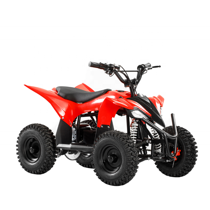 Hot Mini Electric ATV Electric Quad for Kids 800W Motor Power Battery Brush BIKE Brake Transmission 36V 12AH MAX Chain