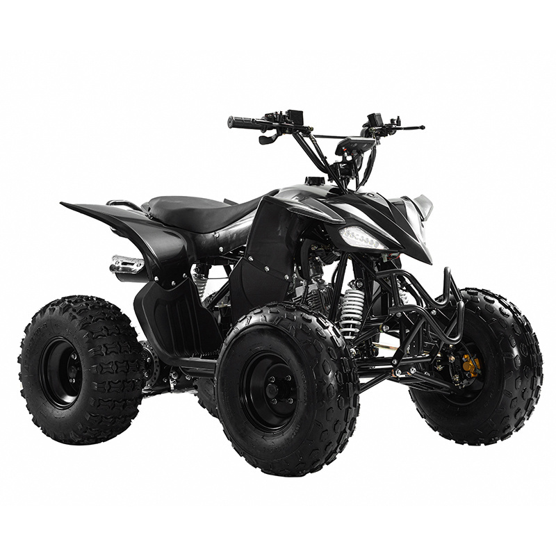 2023  teen quads Chain drive High Quality Wholesale  Raptor Quad 110 Panther Mini Kit 125Cc 100Cc Disc Brake Gas Atv