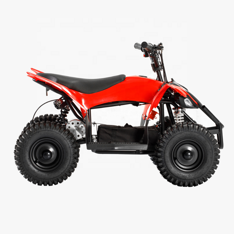 Hot Mini Electric ATV Electric Quad for Kids 800W Motor Power Battery Brush BIKE Brake Transmission 36V 12AH MAX Chain