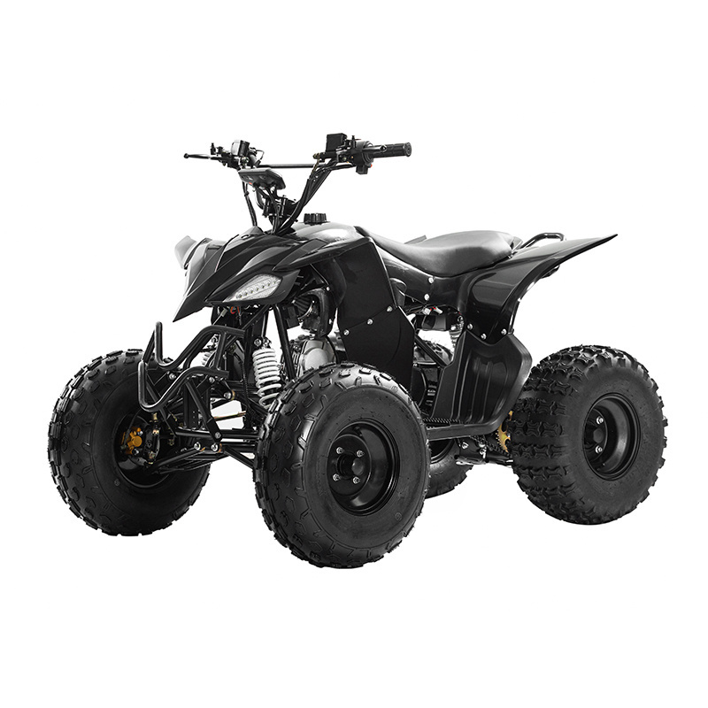 2023  teen quads Chain drive High Quality Wholesale  Raptor Quad 110 Panther Mini Kit 125Cc 100Cc Disc Brake Gas Atv