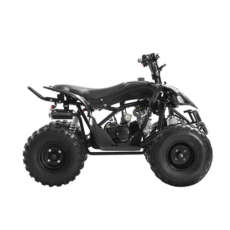 2023  teen quads Chain drive High Quality Wholesale  Raptor Quad 110 Panther Mini Kit 125Cc 100Cc Disc Brake Gas Atv