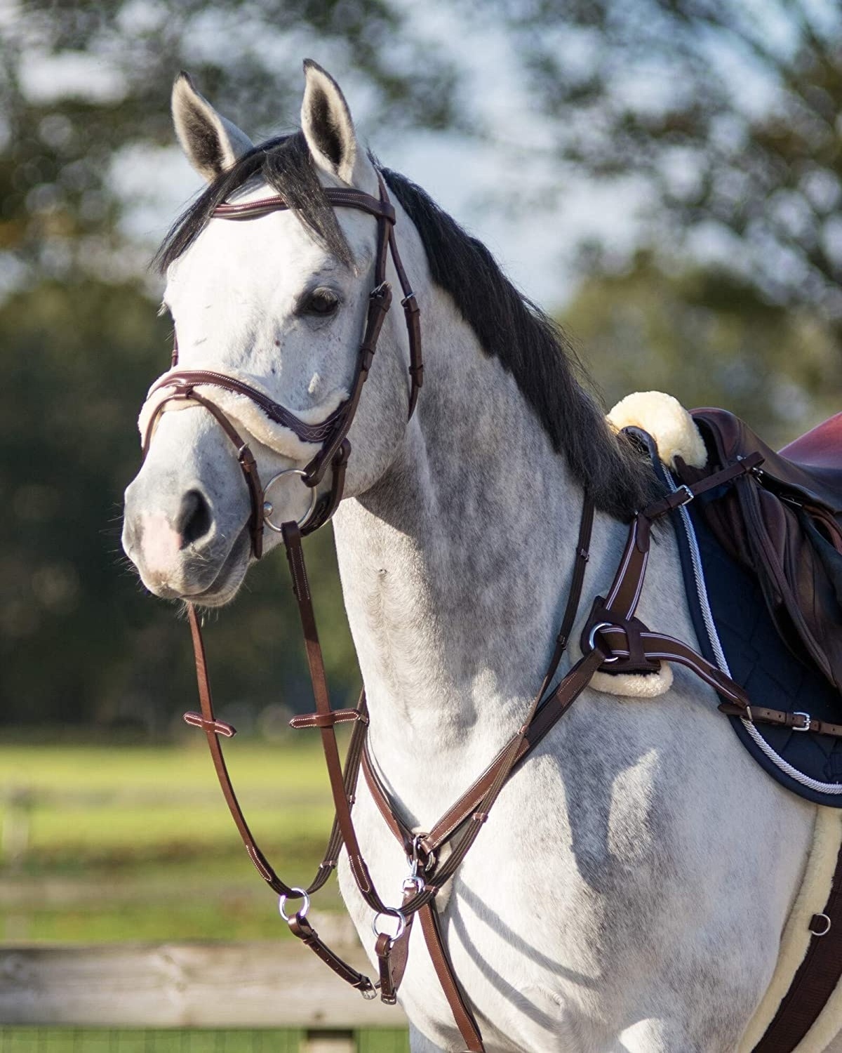 China Softy Padded Horse Leather Fur Padded Cross Noseband Bridle At low Price Black Color Hot Sale Affordable Horse Tack