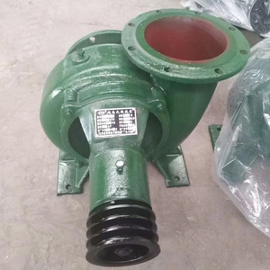 Agricultural Irrigation Water Pomp 12 Inch 300mm Pump Machine For Farm