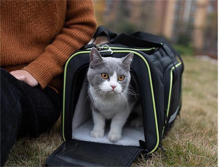 Factory wholesale Foldable Portable Soft-Sided Pet Carrier Tote Bag Small Dog Cat Carrier Purse with Adjustable Safety Tether