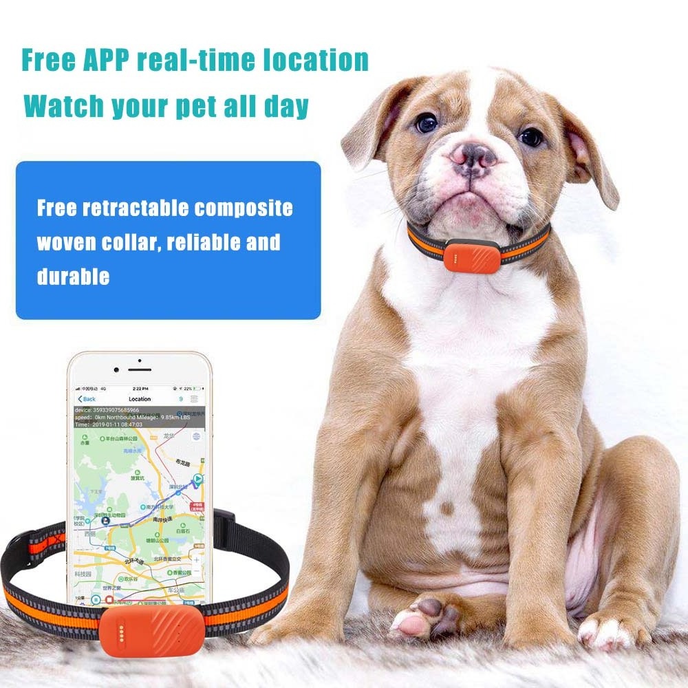 New Waterproof Pet tracker WiFi 4G Hound Gps Tracker Hunting Dog Gps Tracking Collar