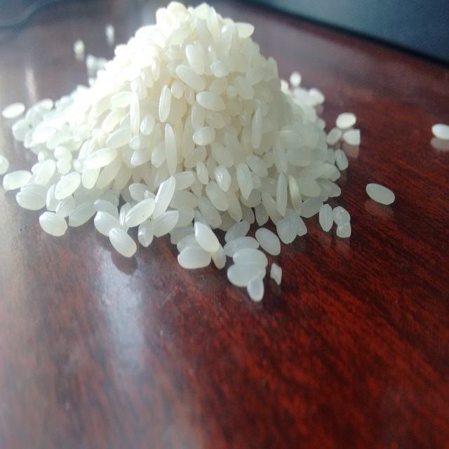 Premium Quality Round rice from India