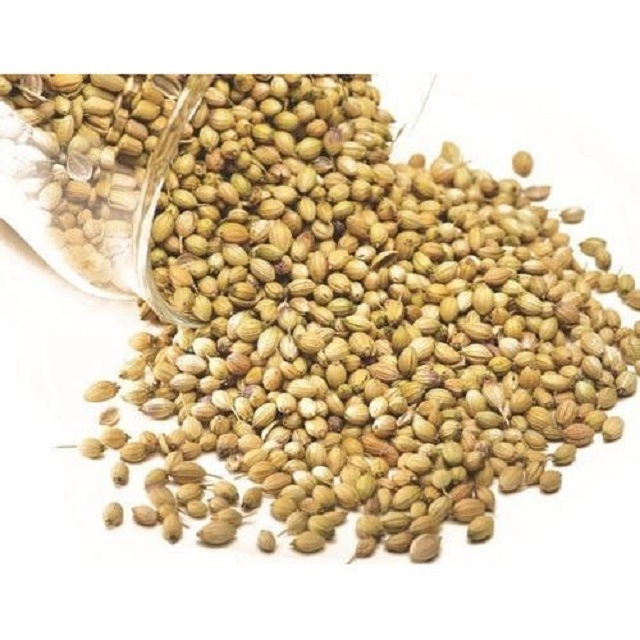 Premium Quality coriander seeds  from India