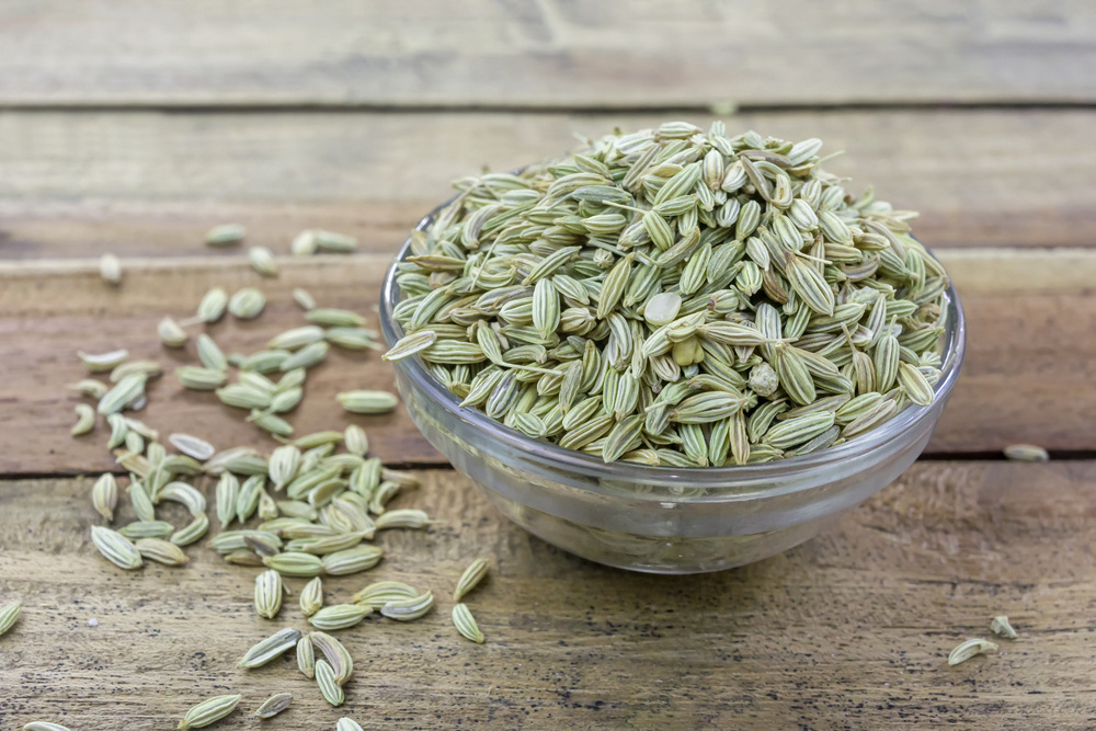 Fennel Seed For Food Ingredients And Spices In Good Quality Available For Sale