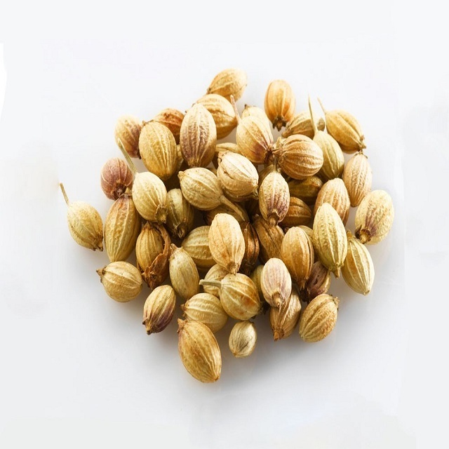 Premium Quality coriander seeds  from India