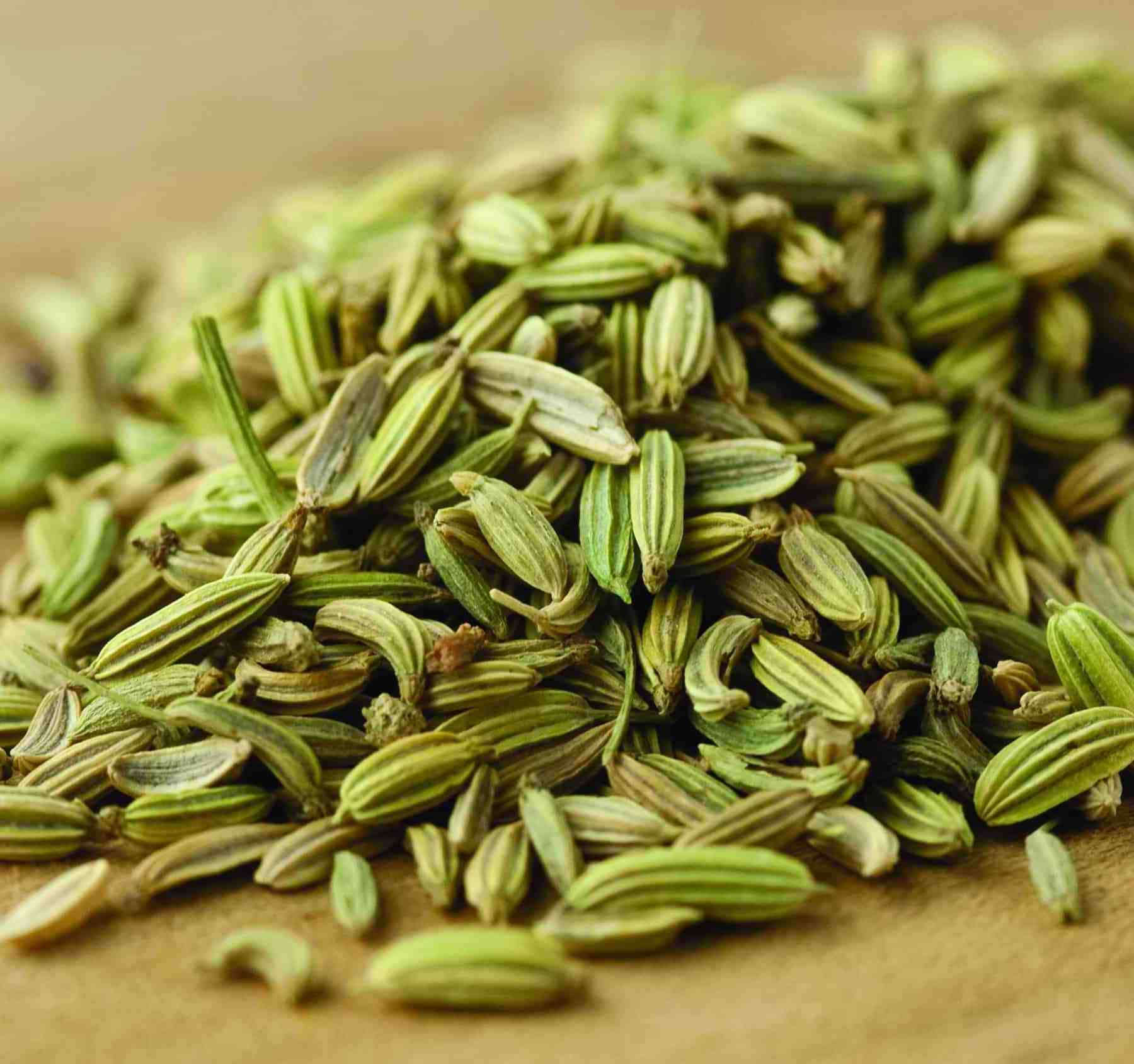 High Quality Fennel Seeds Available For Export In Good Quality