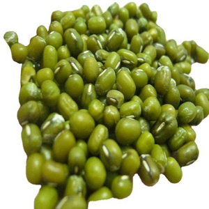 Mung Bean Available For Export