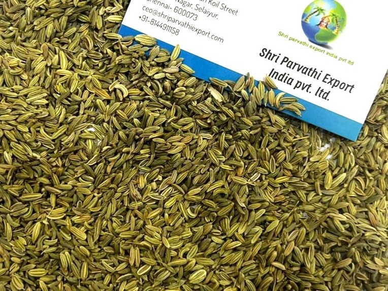 Best quality Fennel seed for food spices available in wholesale low price