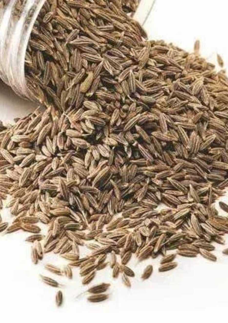 Cumin Seed In Best Quality Available For Export