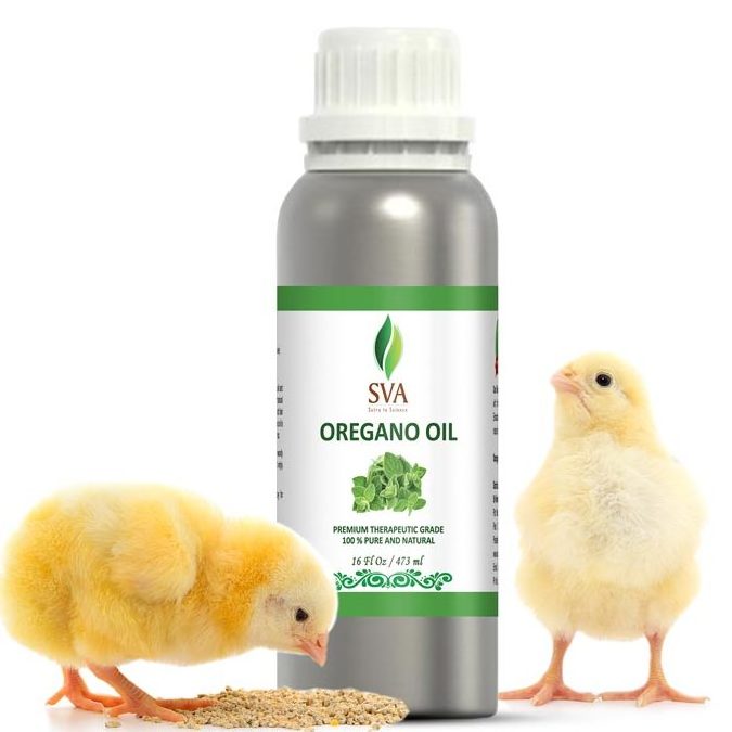 Best Quality Feed Grade Oregano Oil with 70%, 80% & 87% Carvacrol & Thymol leading supplier bulk at bulk wholesale price