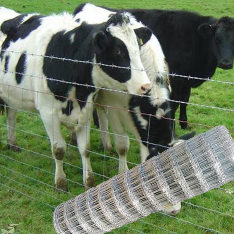 Wire for Farm Protection, Farm Fence Cattle Fence Hot Sale Galvanized Steel 2022 China Metal Silver Plastic Garden Fence