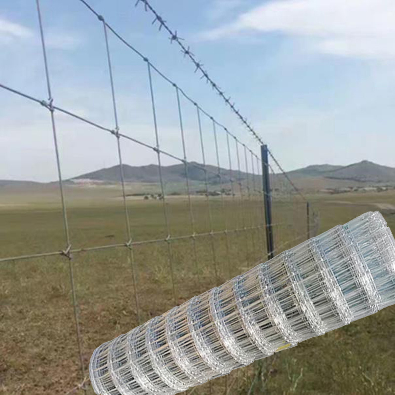 Wire for Farm Protection, Farm Fence Cattle Fence Hot Sale Galvanized Steel 2022 China Metal Silver Plastic Garden Fence