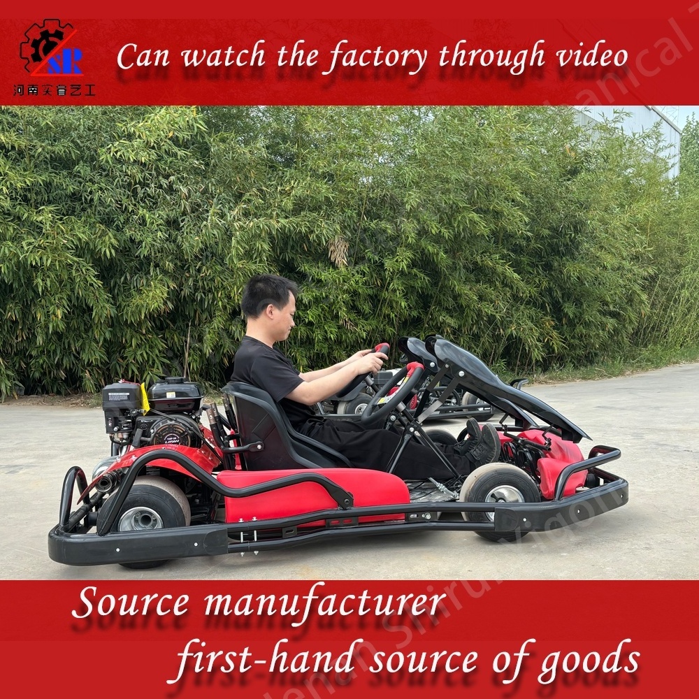 Two seat go karts, gasoline two person commercial outdoor four stroke go karts, the source factory can be viewed on video