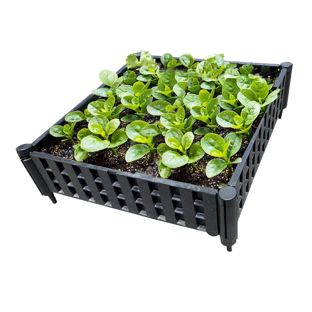 Planter Box For Hotels And Resorts