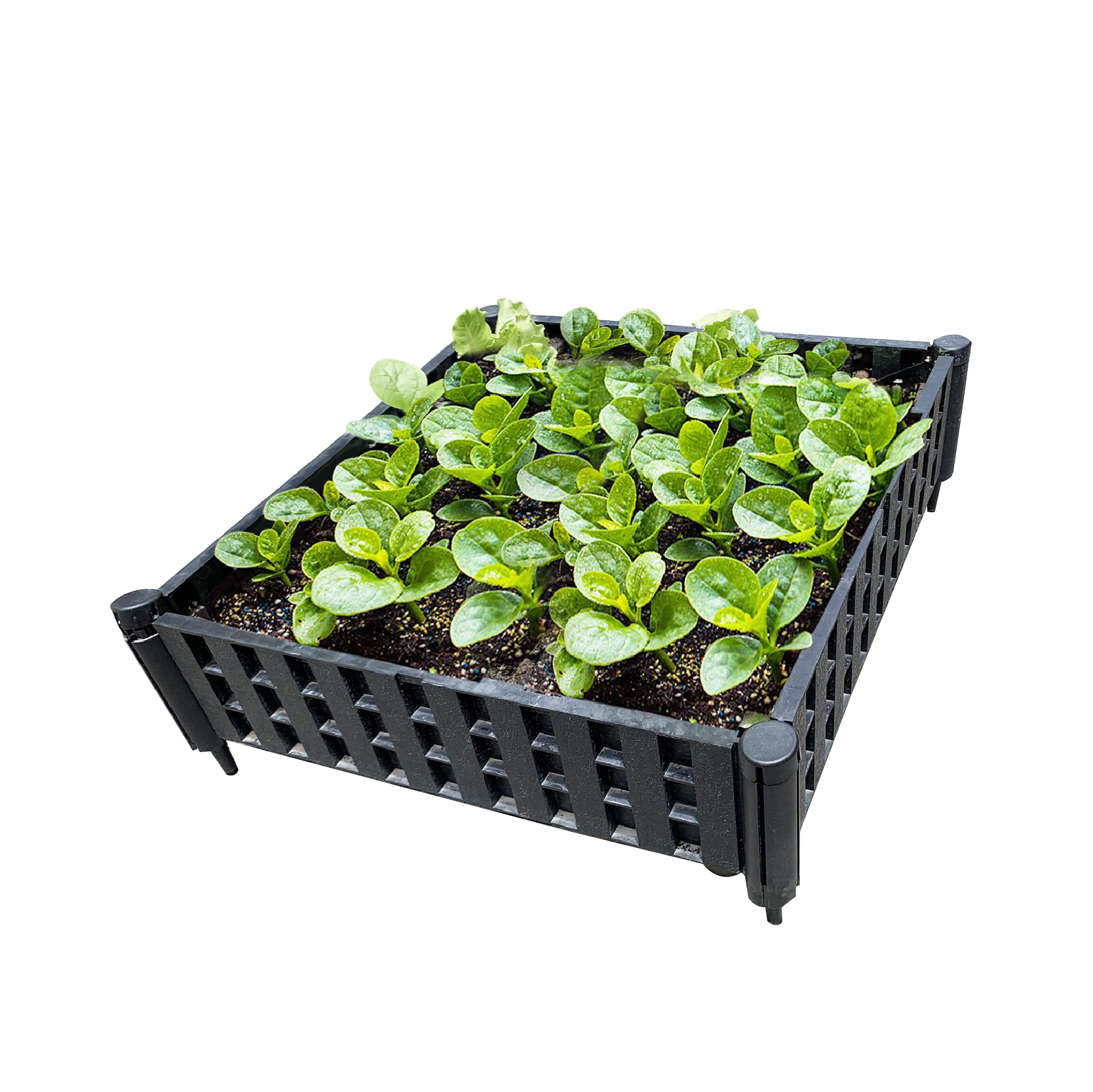 Vegetable  Planter Box Garden Planter  Plastic