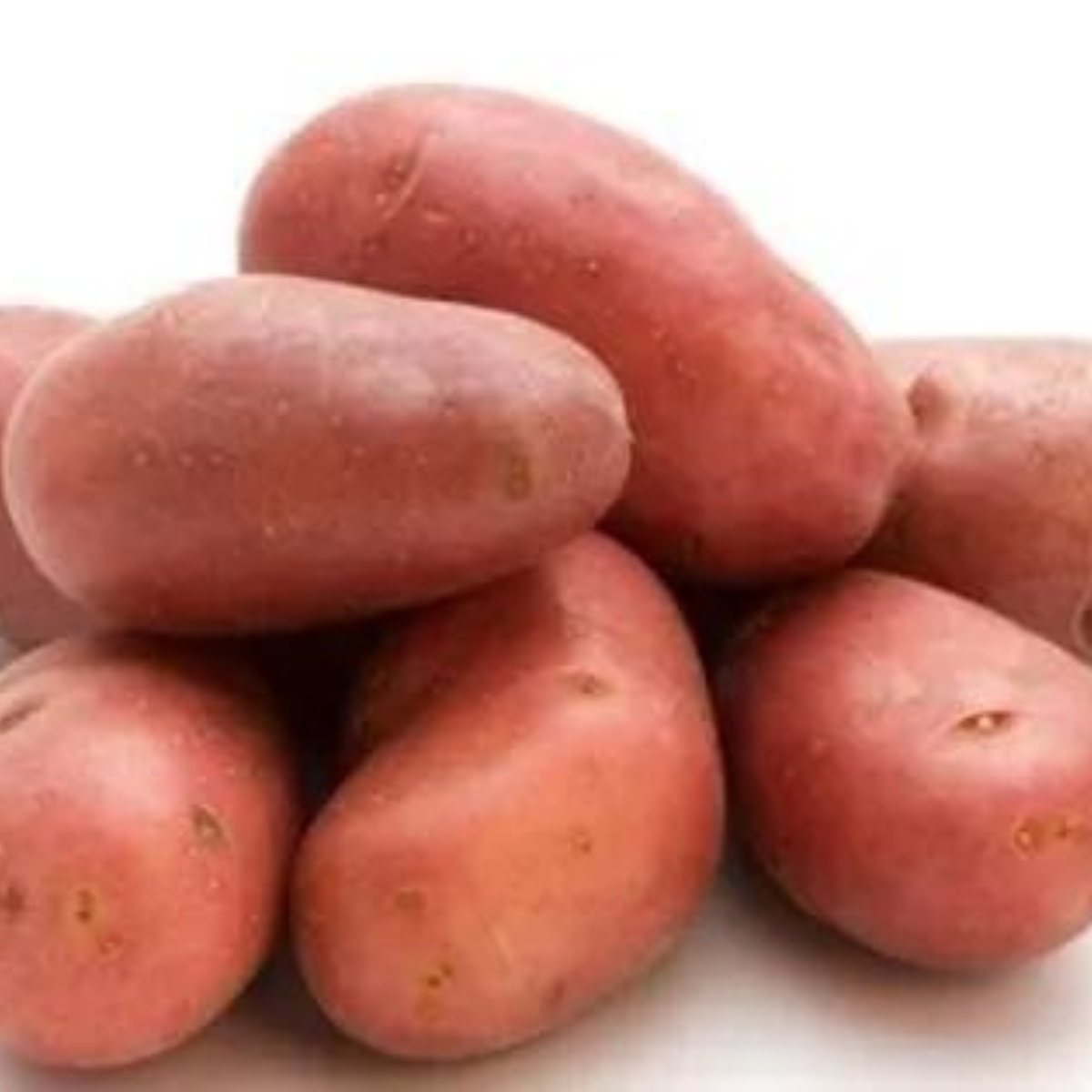 2024 Red A Grade Lady Rosetta Potato High Quality Fresh Red Potato From India In Cheap cost Price