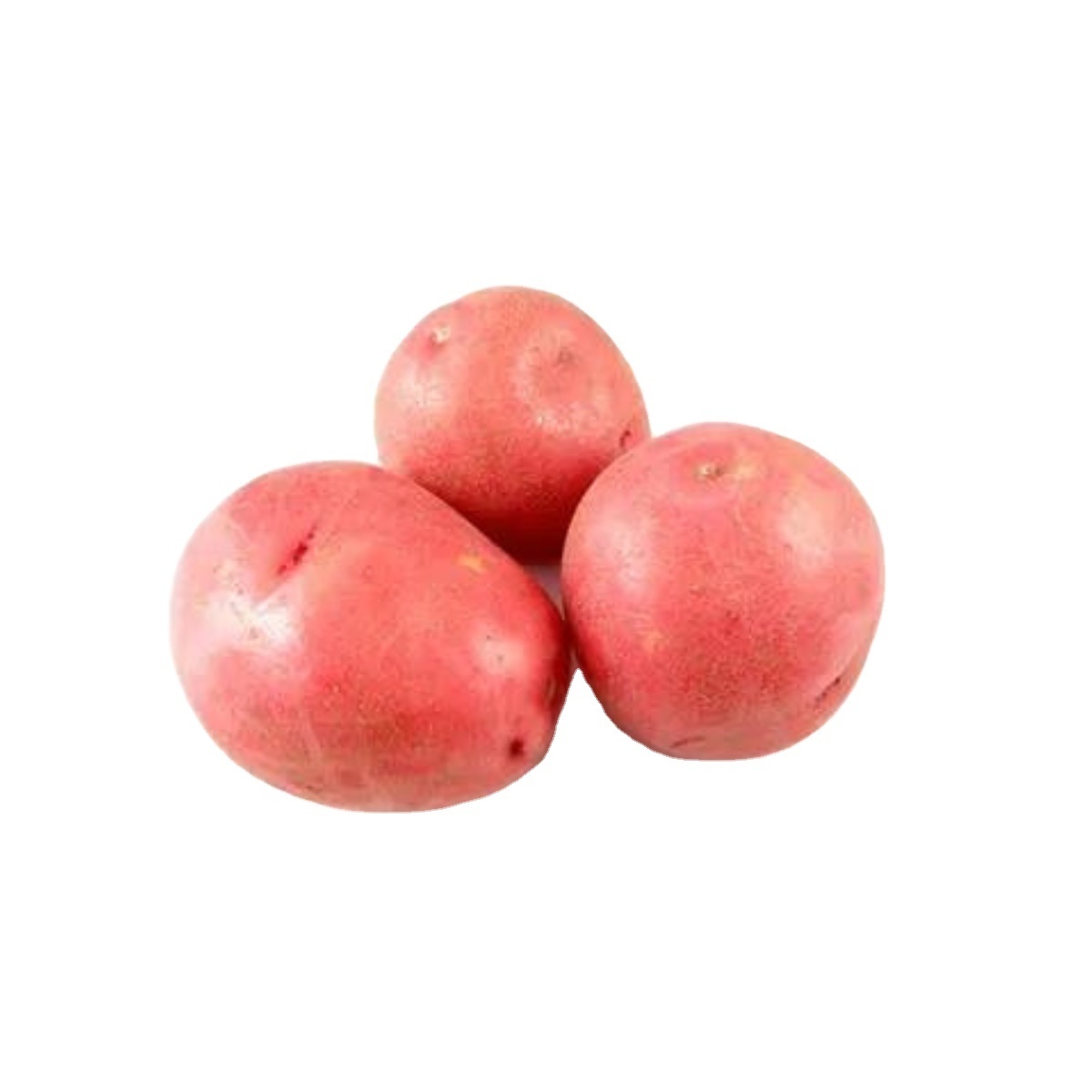 2024 Red A Grade Lady Rosetta Potato High Quality Fresh Red Potato From India In Cheap cost Price