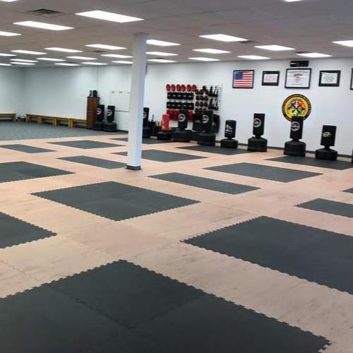 Sansd High Quality Rollout Mats Mma Used Wrestling Mats For Sale Martial Arts BJJ Mat