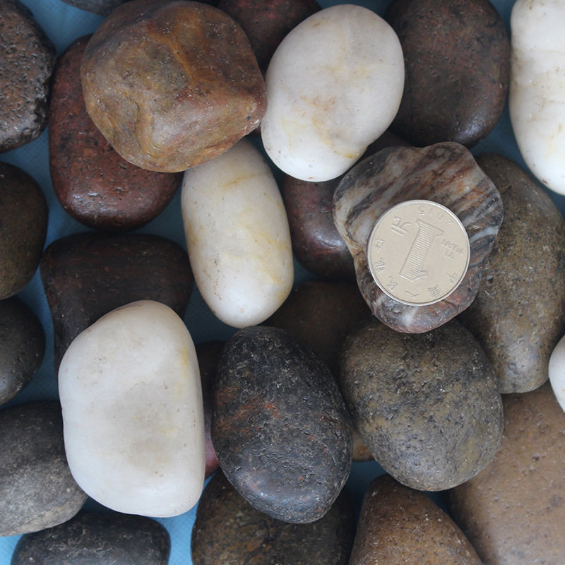 Yellow Tumbled Pebbles Stone Multi Size High Quality Natural Pebble Rock from Factory Price