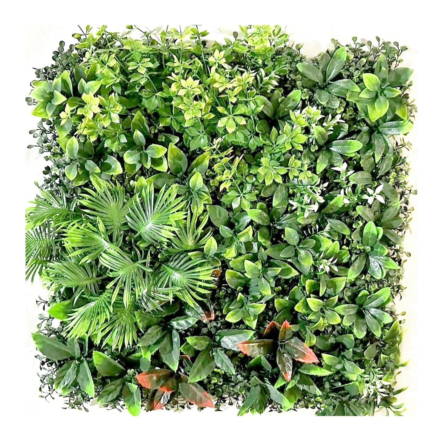 Cheap backdrop indoor plastic ivy vertical hedge plant hang boxwood faux foliage artificial grass panel for wall decoration